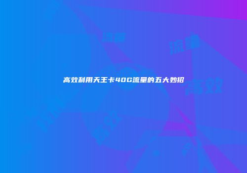 高效利用天王卡40G流量的五大妙招