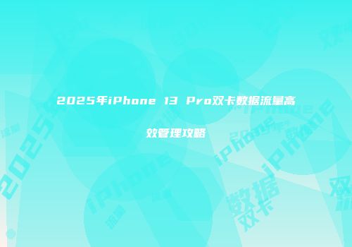 2025年iPhone 13 Pro双卡数据流量高效管理攻略