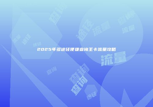 2025年多途径便捷查询王卡流量攻略