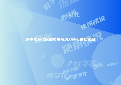 数字化时代流量使用情况分析与优化策略