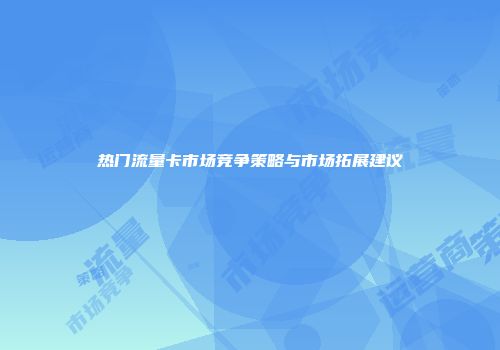热门流量卡市场竞争策略与市场拓展建议