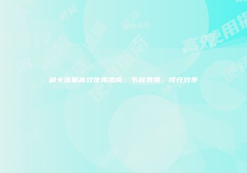 副卡流量高效使用指南：节省费用，提升效率
