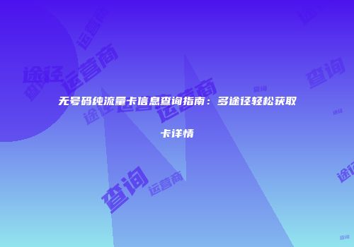 无号码纯流量卡信息查询指南：多途径轻松获取卡详情