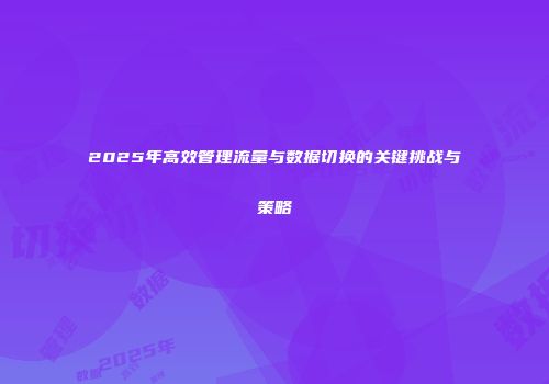 2025年高效管理流量与数据切换的关键挑战与策略