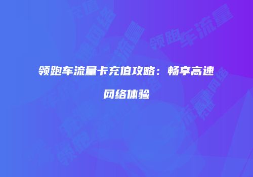 领跑车流量卡充值攻略：畅享高速网络体验