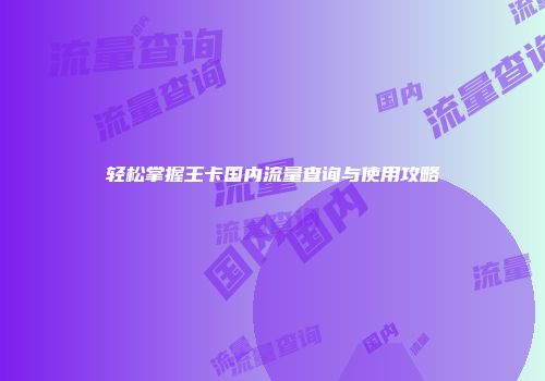 轻松掌握王卡国内流量查询与使用攻略