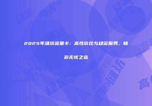 2025年潍坊流量卡：高性价比与稳定服务，畅游无忧之选