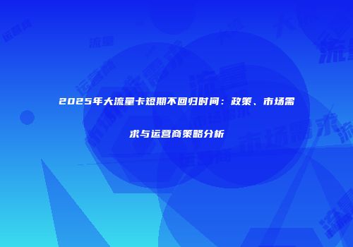 2025年大流量卡短期不回归时间：政策、市场需求与运营商策略分析