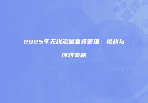 2025年无线流量套餐管理：挑战与应对策略