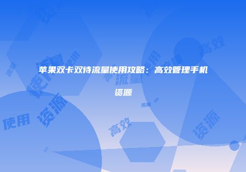 苹果双卡双待流量使用攻略：高效管理手机资源
