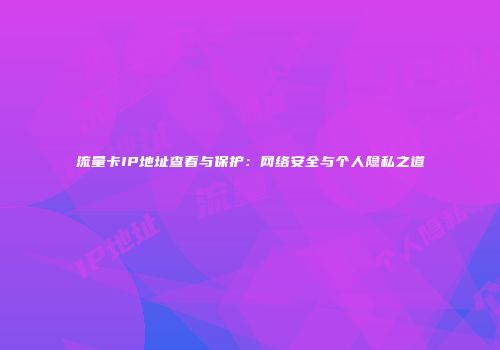 流量卡IP地址查看与保护：网络安全与个人隐私之道