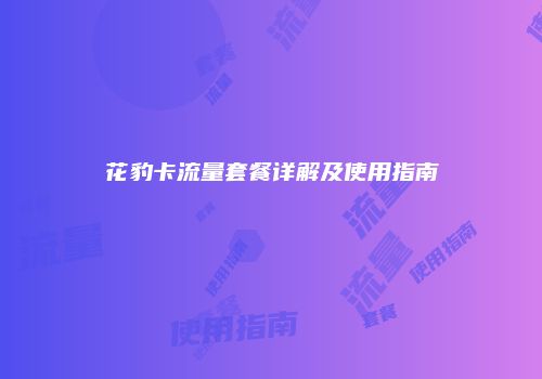 花豹卡流量套餐详解及使用指南