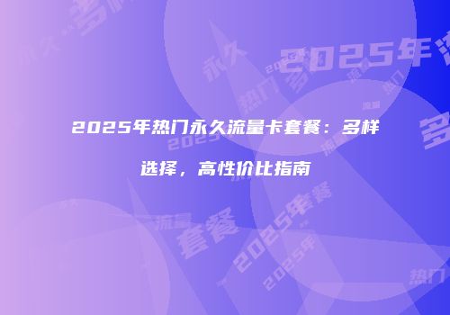 2025年热门永久流量卡套餐：多样选择，高性价比指南