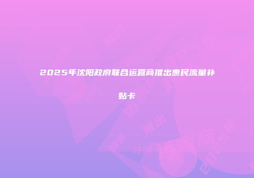 2025年沈阳政府联合运营商推出惠民流量补贴卡