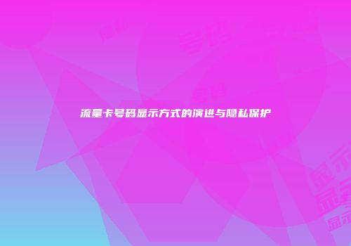 流量卡号码显示方式的演进与隐私保护