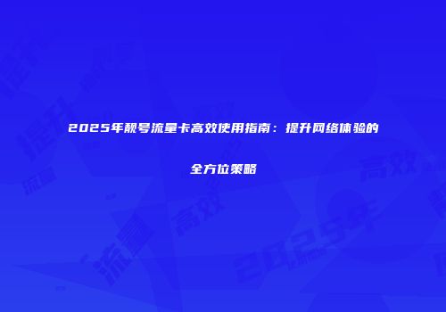2025年靓号流量卡高效使用指南：提升网络体验的全方位策略