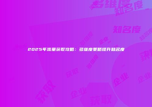 2025年流量获取攻略：多维度策略提升知名度