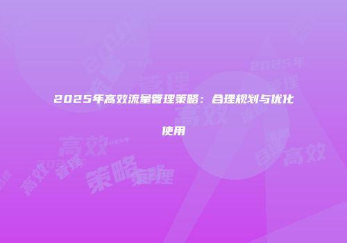 2025年高效流量管理策略：合理规划与优化使用