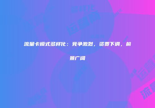 流量卡模式多样化：竞争激烈，资费下调，前景广阔