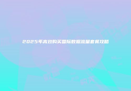 2025年高效购买国际数据流量套餐攻略