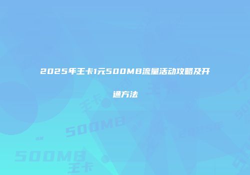 2025年王卡1元500MB流量活动攻略及开通方法