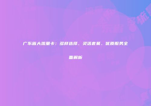 广东省大流量卡：多样选择、灵活套餐、优质服务全面解析