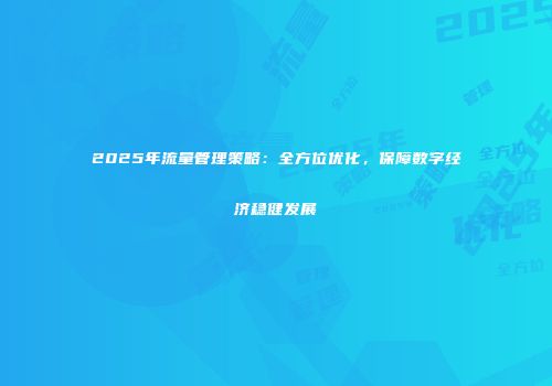 2025年流量管理策略：全方位优化，保障数字经济稳健发展