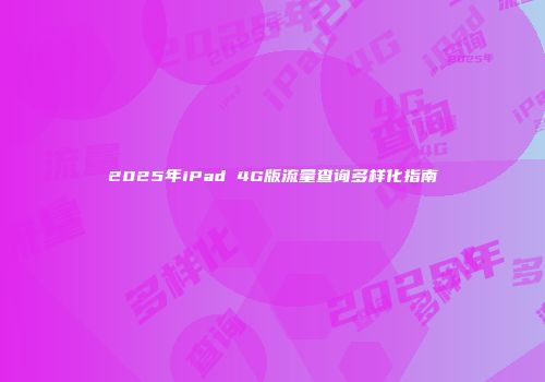 2025年iPad 4G版流量查询多样化指南