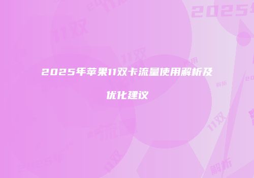 2025年苹果11双卡流量使用解析及优化建议