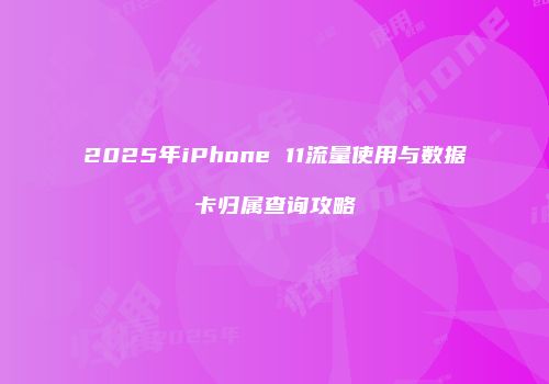 2025年iPhone 11流量使用与数据卡归属查询攻略