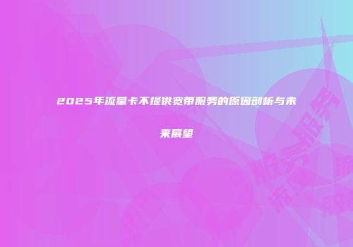 2025年流量卡不提供宽带服务的原因剖析与未来展望