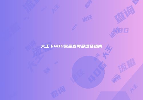 大王卡40G流量查询多途径指南