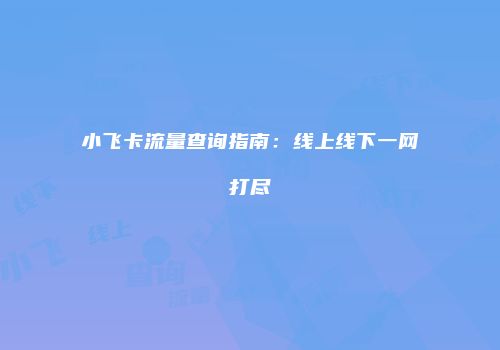 小飞卡流量查询指南：线上线下一网打尽