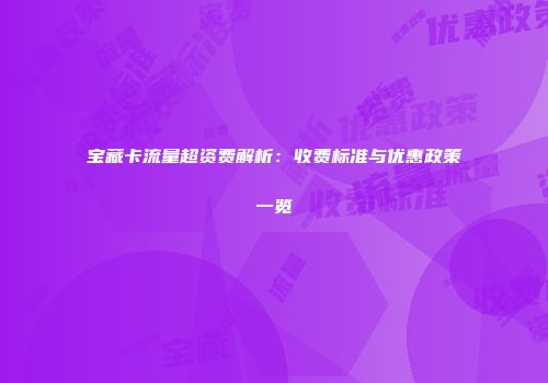 宝藏卡流量超资费解析：收费标准与优惠政策一览
