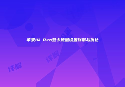 苹果14 Pro双卡流量设置详解与优化