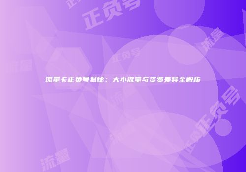 流量卡正负号揭秘：大小流量与资费差异全解析