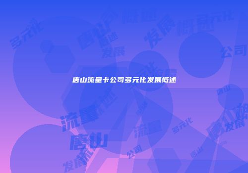 唐山流量卡公司多元化发展概述