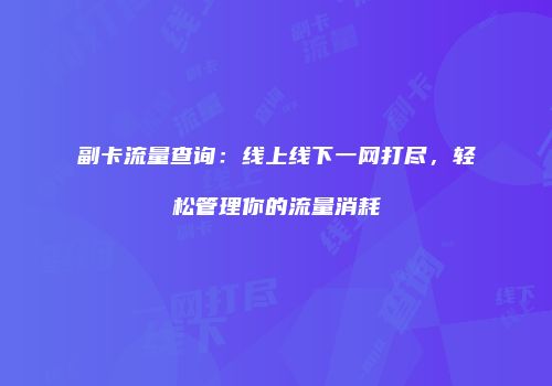 副卡流量查询：线上线下一网打尽，轻松管理你的流量消耗