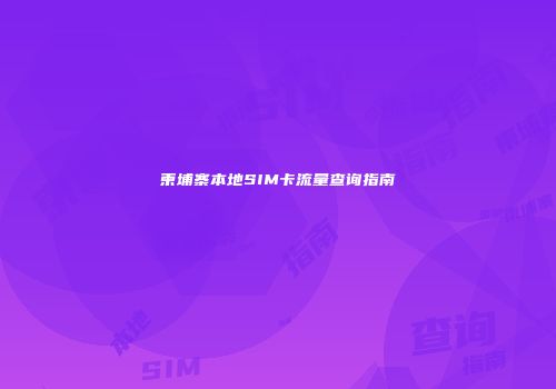 柬埔寨本地SIM卡流量查询指南