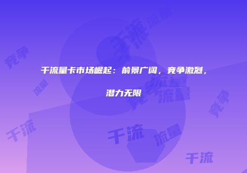 干流量卡市场崛起：前景广阔，竞争激烈，潜力无限