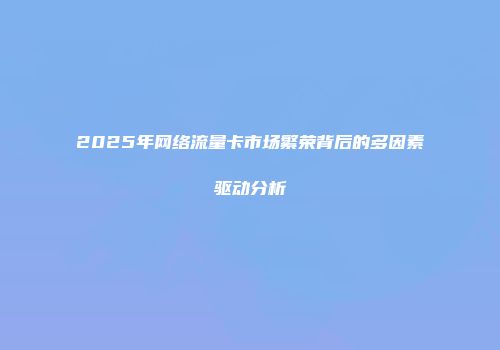 2025年网络流量卡市场繁荣背后的多因素驱动分析