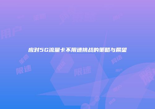应对5G流量卡不限速挑战的策略与展望