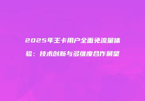 2025年王卡用户全面免流量体验：技术创新与多维度合作展望