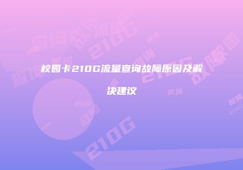 校园卡210G流量查询故障原因及解决建议