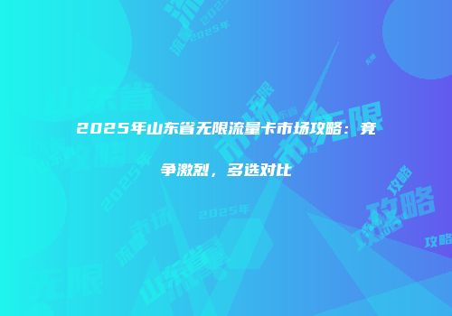 2025年山东省无限流量卡市场攻略：竞争激烈，多选对比