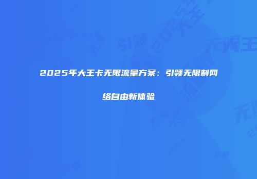 2025年大王卡无限流量方案：引领无限制网络自由新体验