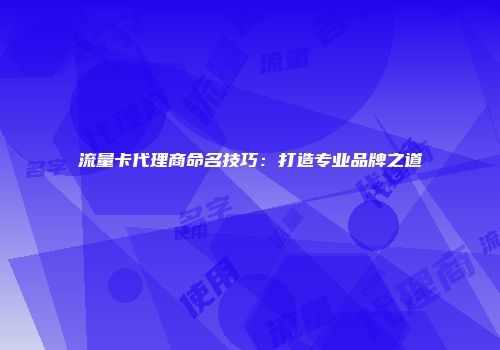 流量卡代理商命名技巧：打造专业品牌之道
