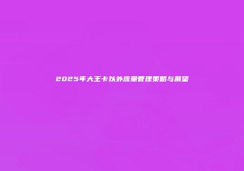 2025年大王卡以外流量管理策略与展望