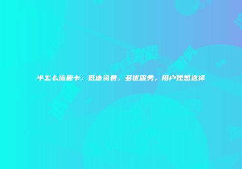 半怎么流量卡：低廉资费，多优服务，用户理想选择