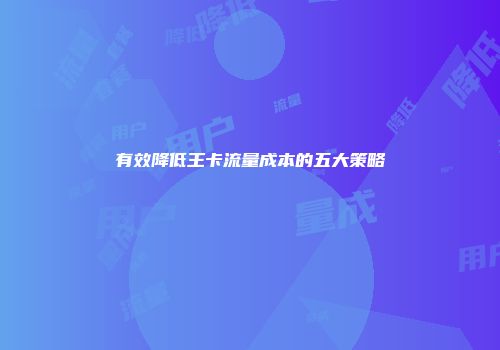 有效降低王卡流量成本的五大策略